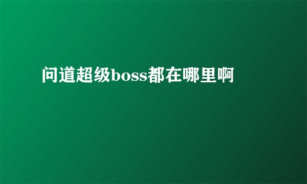 问道超级boss都在哪里啊