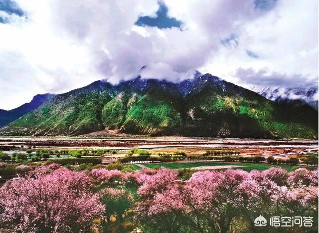 你觉得国内哪些旅游景点是摄影创作团队最爱去的?