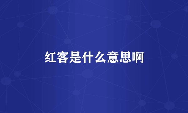 红客是什么意思啊