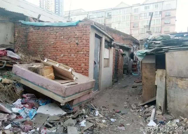 哈尔滨	哪里租房便宜？