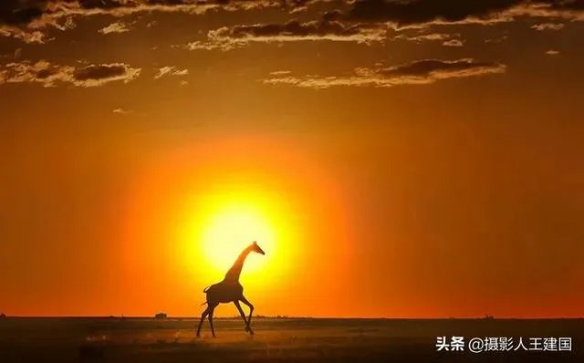 摄影是艺术吗?