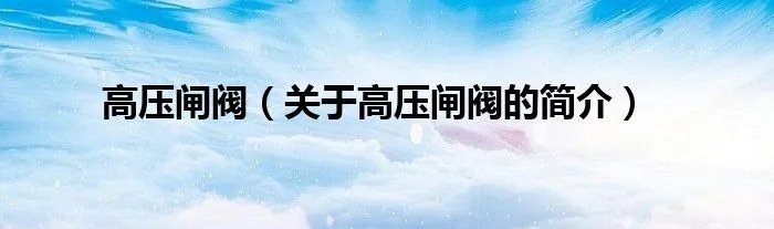 高压闸阀（关于高压闸阀的简介）