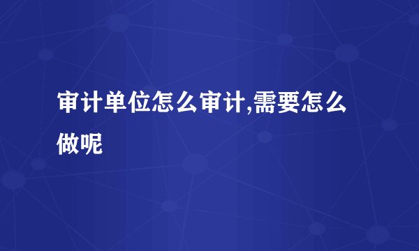 审计单位怎么审计,需要怎么做呢