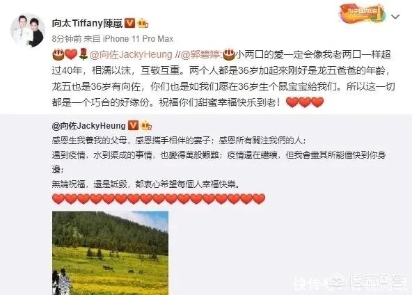 向太官宣郭碧婷怀孕，到底是怎么一回事？