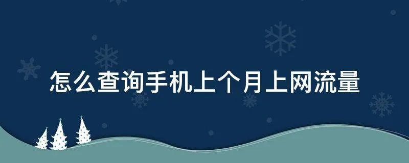 怎么查询手机上个月上网流量