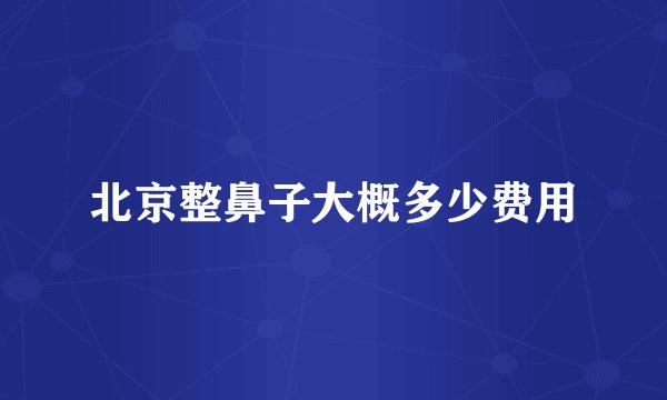 北京整鼻子大概多少费用