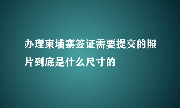 办理柬埔寨签证需要提交的照片到底是什么尺寸的