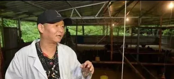 52岁的“三德子”赵亮成养鸡大户,他是如何一步步走到今天的?