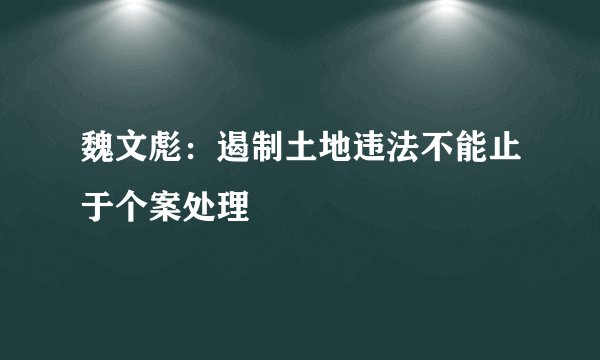 魏文彪：遏制土地违法不能止于个案处理