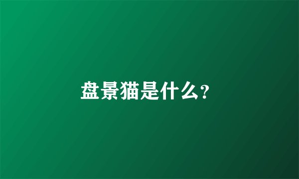 盘景猫是什么？
