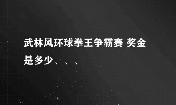 武林风环球拳王争霸赛 奖金是多少、、、