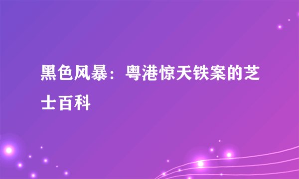 黑色风暴：粤港惊天铁案的芝士百科