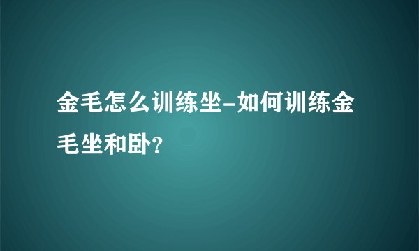 金毛怎么训练坐-如何训练金毛坐和卧？