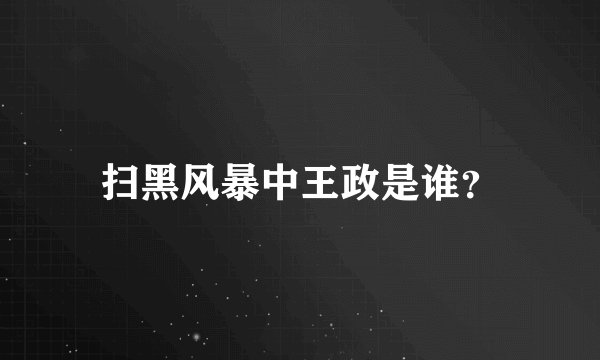 扫黑风暴中王政是谁？