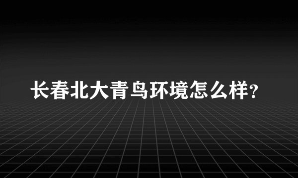 长春北大青鸟环境怎么样？
