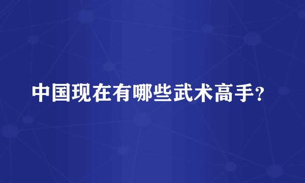 中国现在有哪些武术高手？