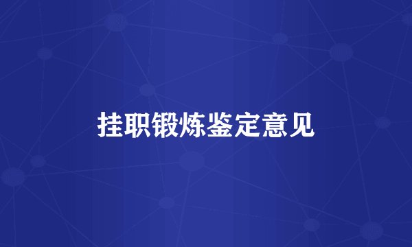 挂职锻炼鉴定意见