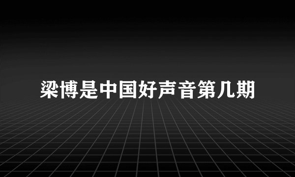 梁博是中国好声音第几期