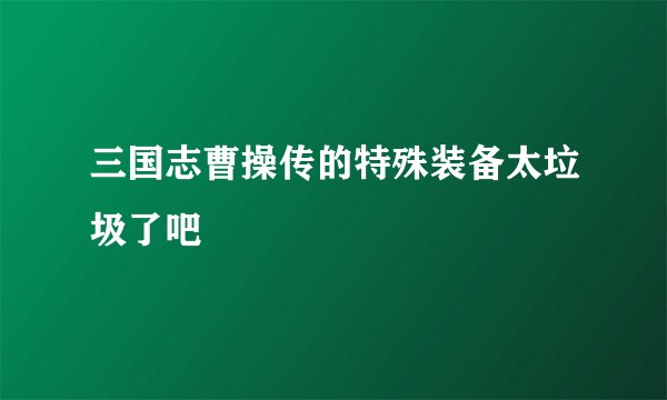 三国志曹操传的特殊装备太垃圾了吧