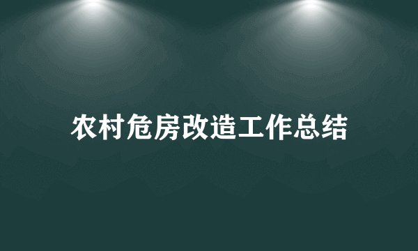 农村危房改造工作总结