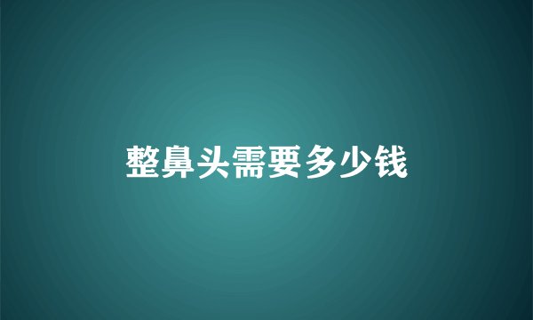 整鼻头需要多少钱