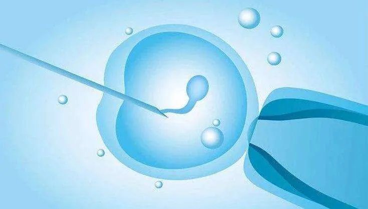 试管助孕口碑网-福州医科大学附属第一医院2023年试管婴儿医生名单(附医生助孕成功率)