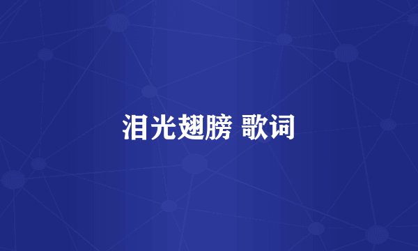 泪光翅膀 歌词