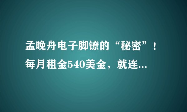 孟晚舟电子脚镣的“秘密”!每月租金540美金,就连洗澡也不能摘?
