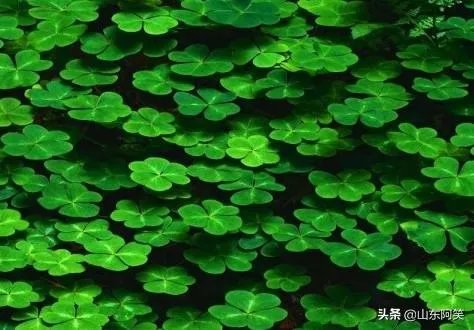 有什么惊艳的句子?