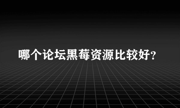 哪个论坛黑莓资源比较好？