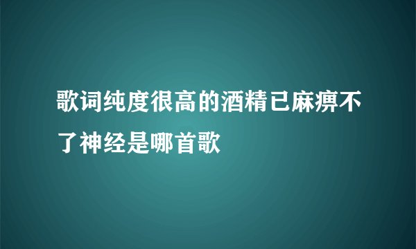 歌词纯度很高的酒精已麻痹不了神经是哪首歌