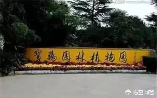 宝鸡除了陈仓老街,还有哪些值得一去的特色街区?