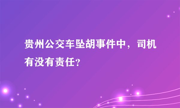 贵州公交车坠胡事件中,司机有没有责任?