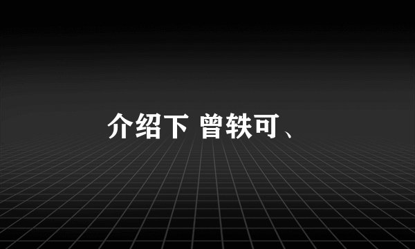 介绍下 曾轶可、