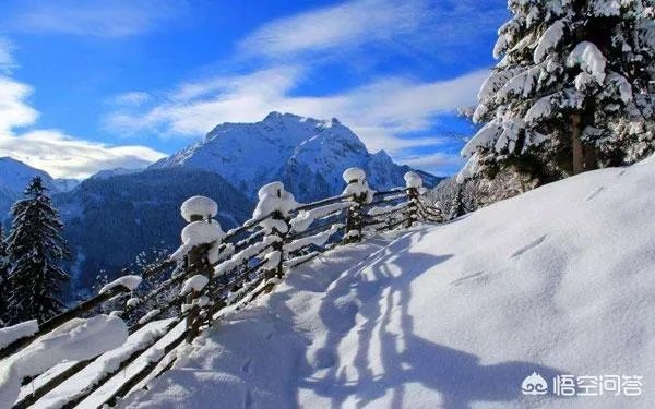 三月下雪有什么预兆