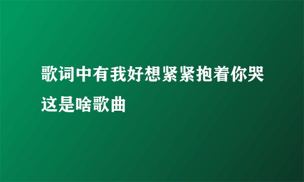 歌词中有我好想紧紧抱着你哭这是啥歌曲