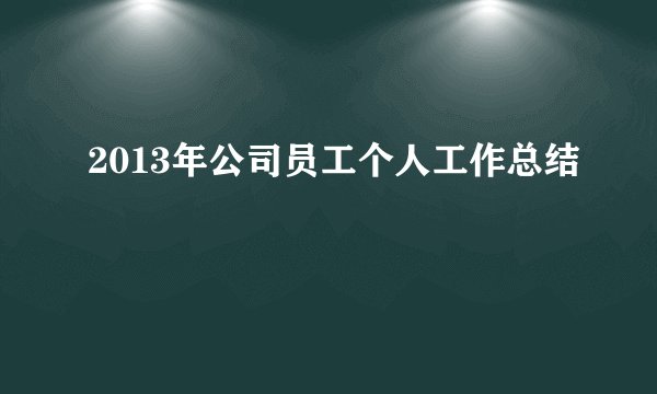 2013年公司员工个人工作总结