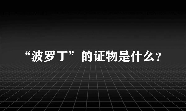 “波罗丁”的证物是什么？