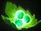 DOTA2英雄出装攻略 奥林匹斯之王宙斯