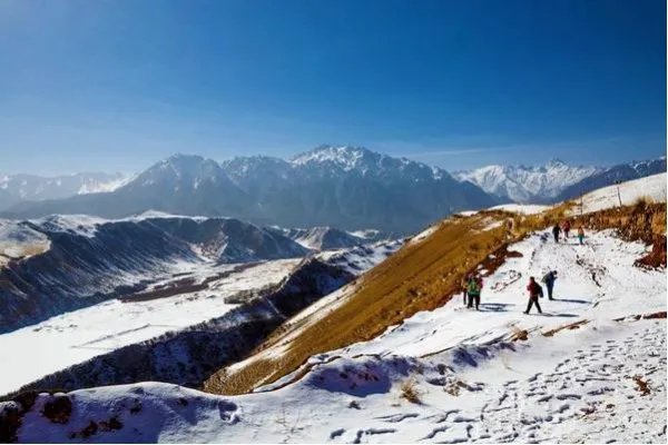 青海祁连山突降大雪,对当地游客有何影响?