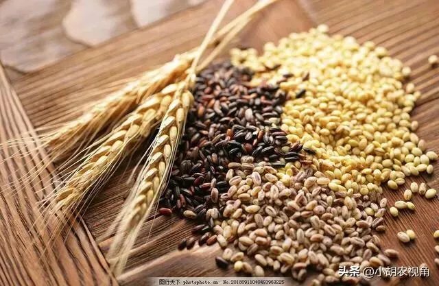受疫情影响,已有国家禁止出口粮食,你怎么看?
