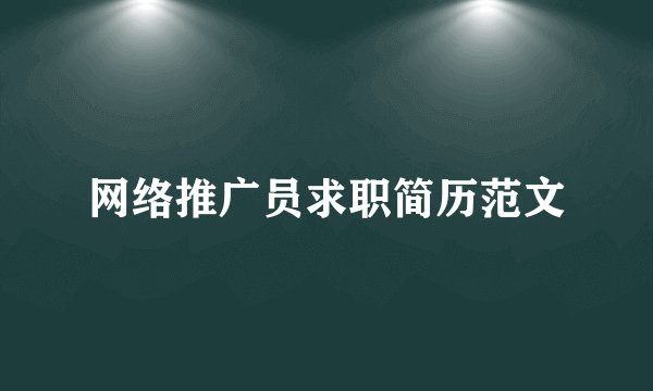 网络推广员求职简历范文