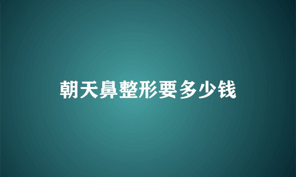 朝天鼻整形要多少钱