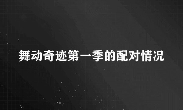 舞动奇迹第一季的配对情况