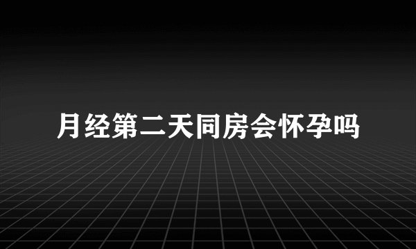 月经第二天同房会怀孕吗
