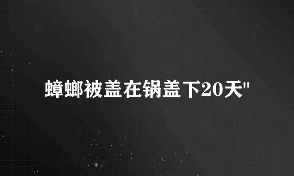 蟑螂被盖在锅盖下20天