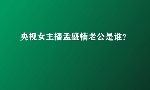 央视女主播孟盛楠老公是谁？