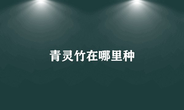 青灵竹在哪里种