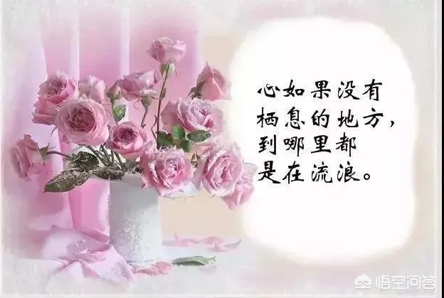 有什么惊艳的句子?