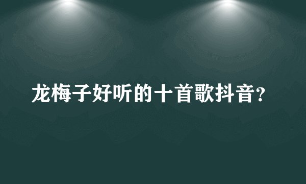 龙梅子好听的十首歌抖音?